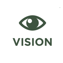 Vision